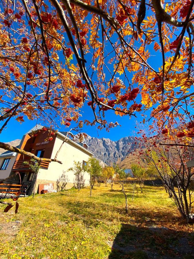 Villa Kazbegi エクステリア 写真